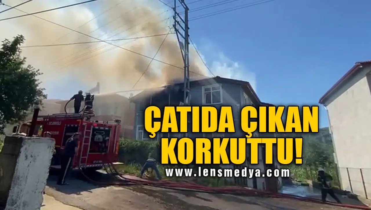 ÇATIDA ÇIKAN KORKUTTU!