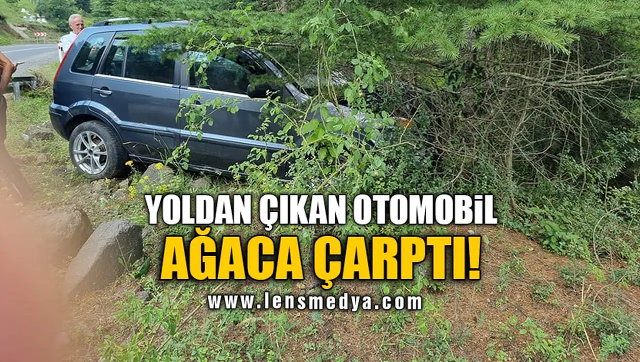 YOLDAN ÇIKAN OTOMOBİL AĞACA ÇARPTI!