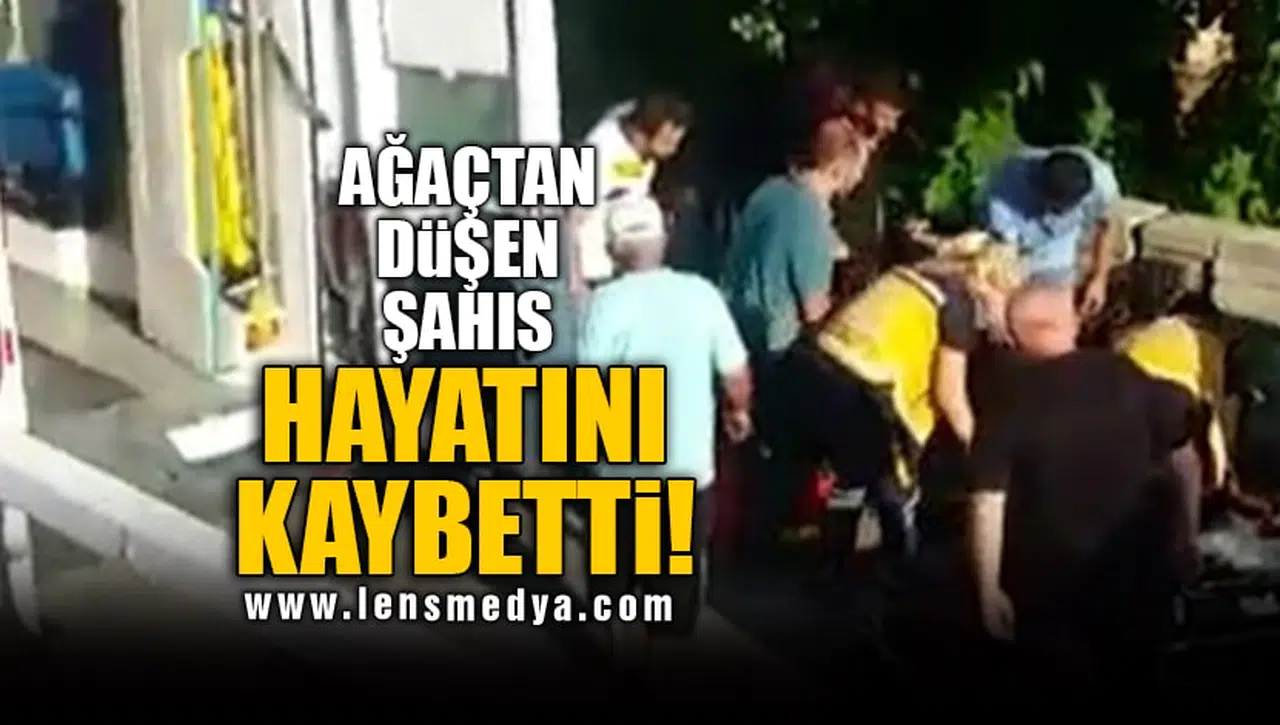 AĞAÇTAN DÜŞEN ŞAHIS HAYATINI KAYBETTİ!