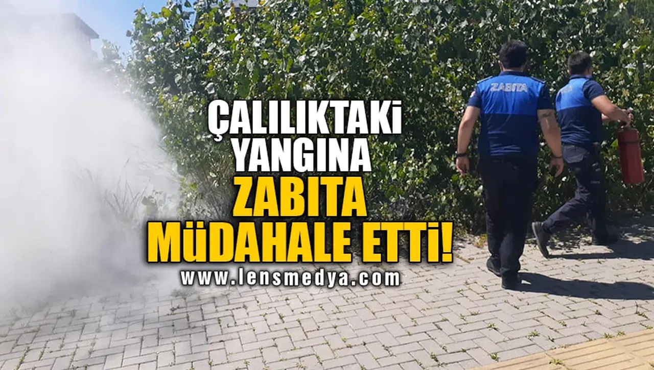 ÇALILIKTAKİ YANGINA ZABITA MÜDAHALE ETTİ!