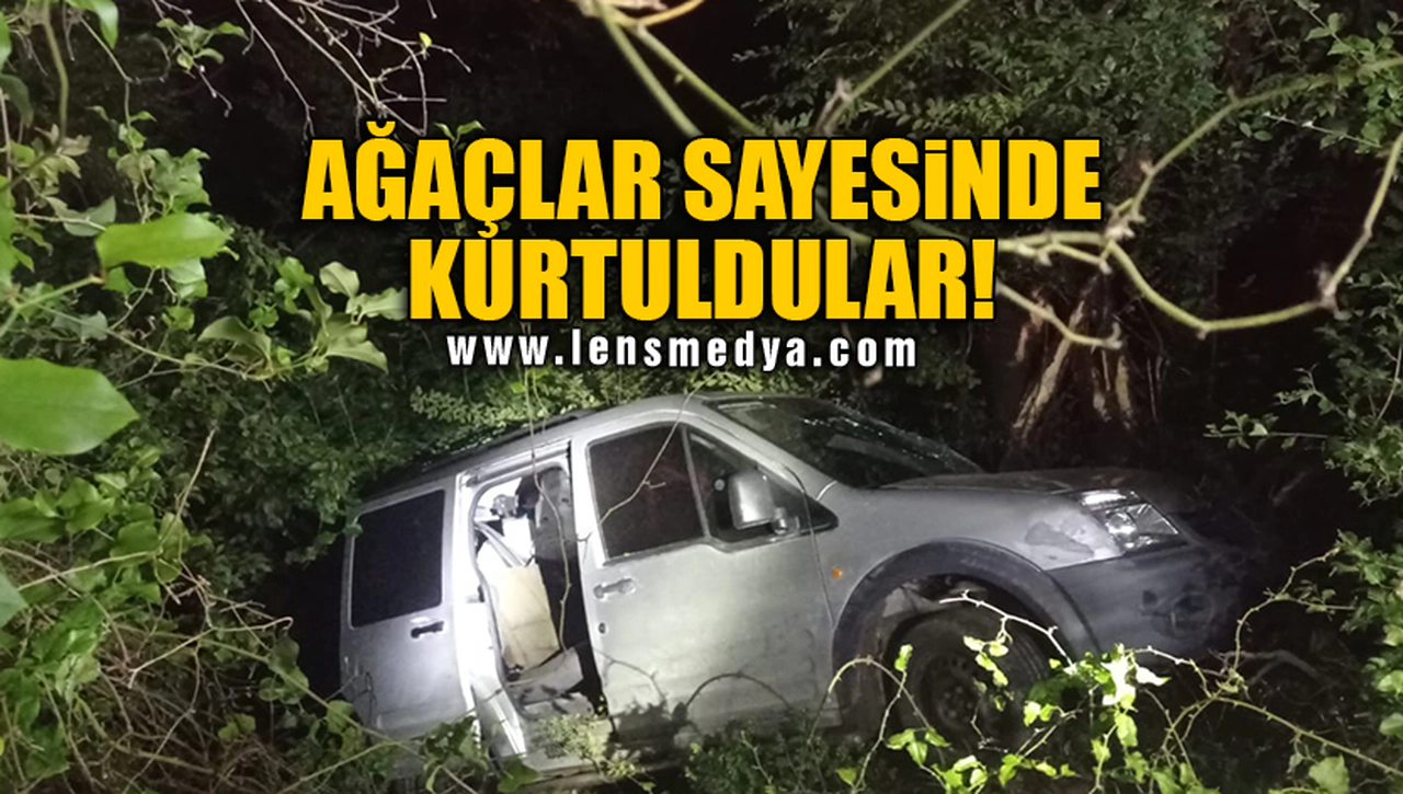 AĞAÇLAR SAYESİNDE KURTULDULAR!