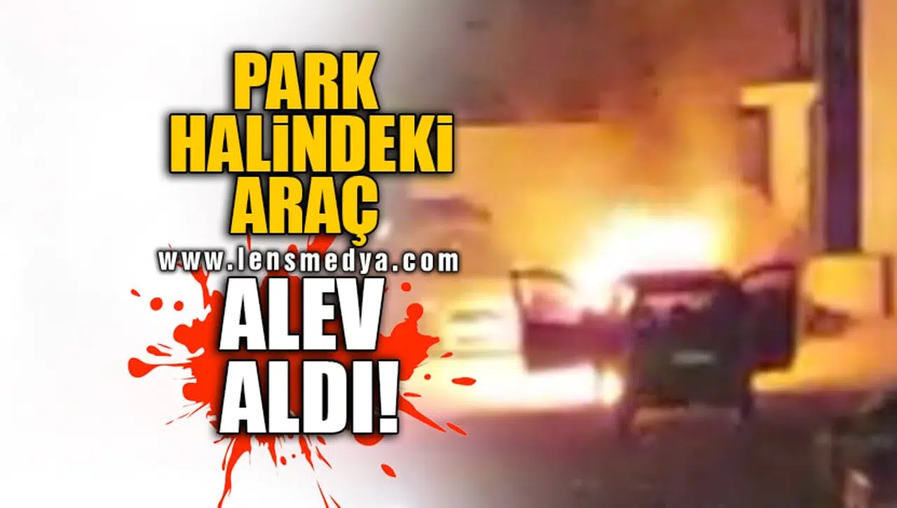 PARK HALİNDEKİ ARAÇ ALEV ALDI!