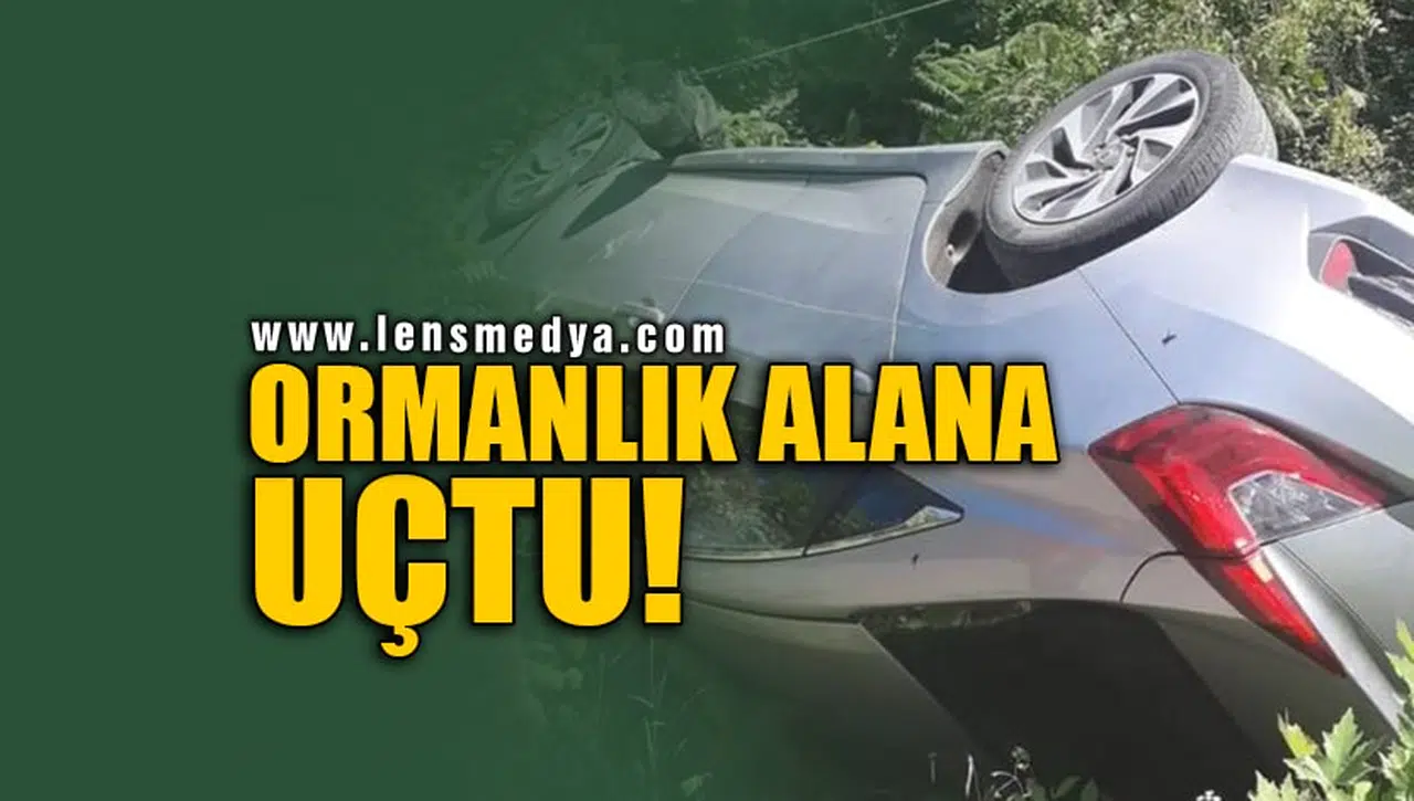 ORMANLIK ALANA UÇTU!