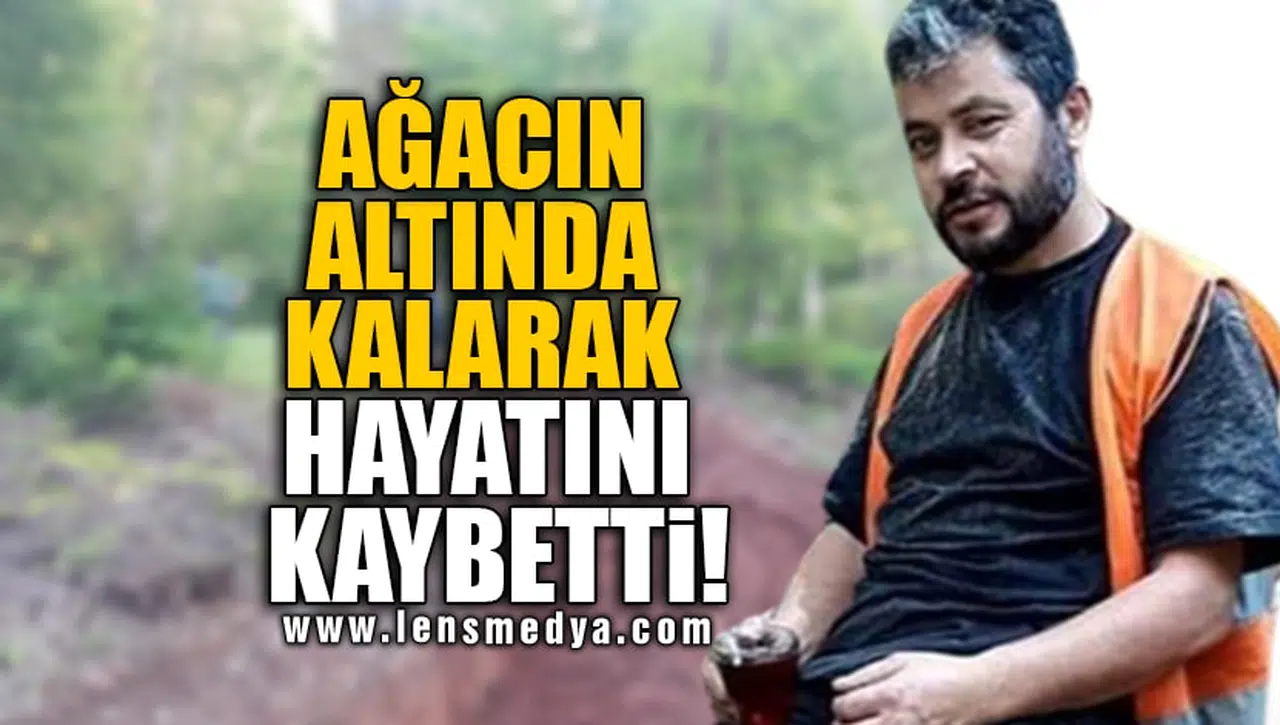 AĞACIN ALTINDA KALARAK HAYATINI KAYBETTİ!