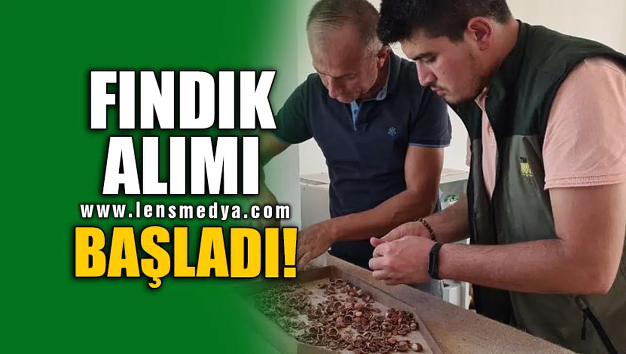 FINDIK ALIMI BAŞLADI!