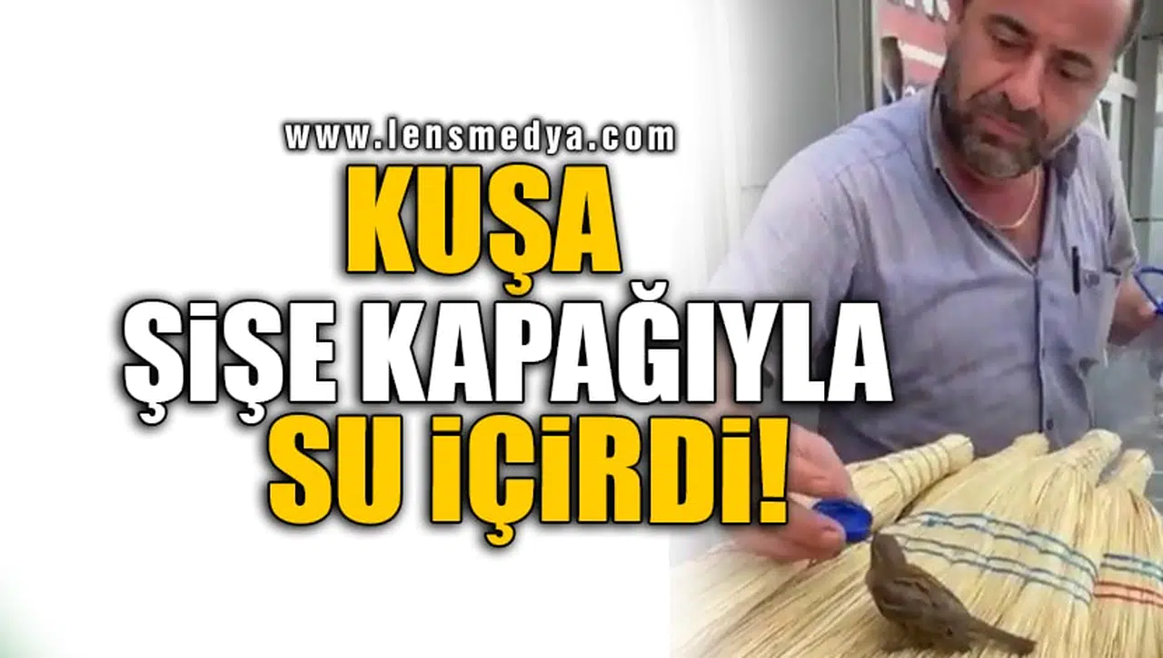 KUŞA ŞİŞE KAPAĞIYLA SU İÇİRDİ!