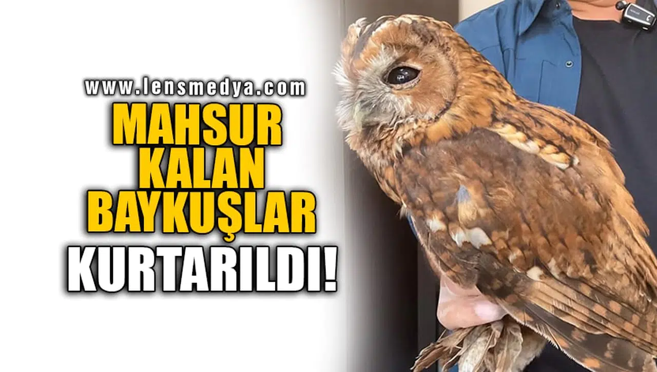 MAHSUR KALAN BAYKUŞLAR KURTARILDI!