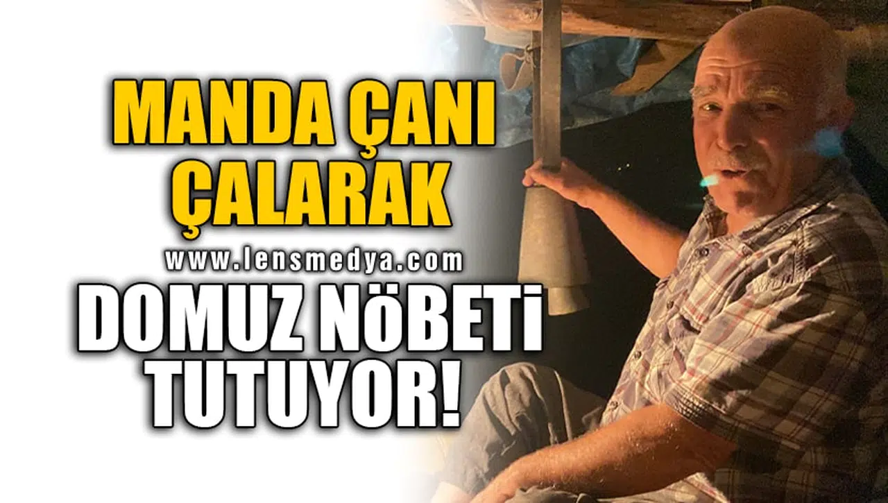 MANDA ÇANI ÇALARAK DOMUZ NÖBETİ TUTUYOR!