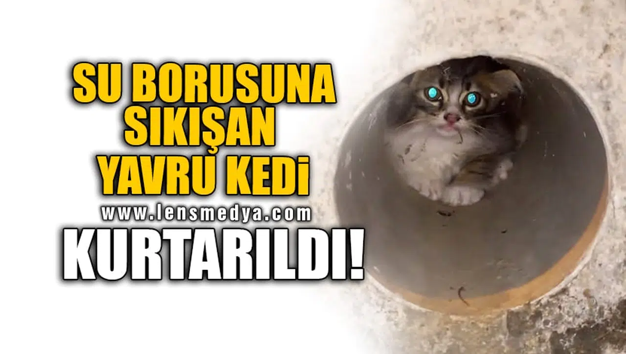 SU BORUSUNA SIKIŞAN YAVRU KEDİ KURTARILDI!