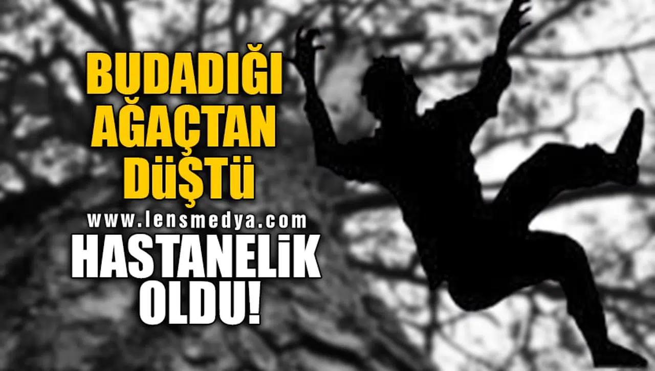 BUDADIĞI AĞAÇTAN DÜŞTÜ HASTANELİK OLDU!