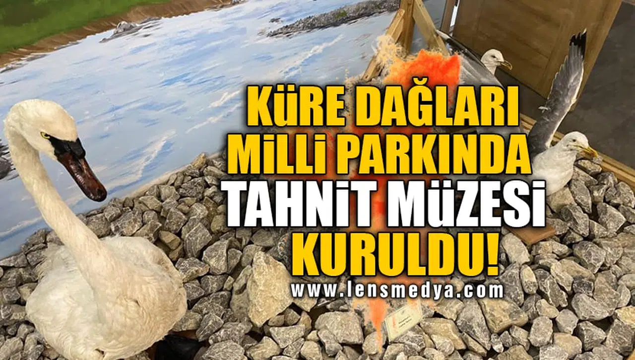 KÜRE DAĞLARI MİLLİ PARKINDA TAHNİT MÜZESİ KURULDU!