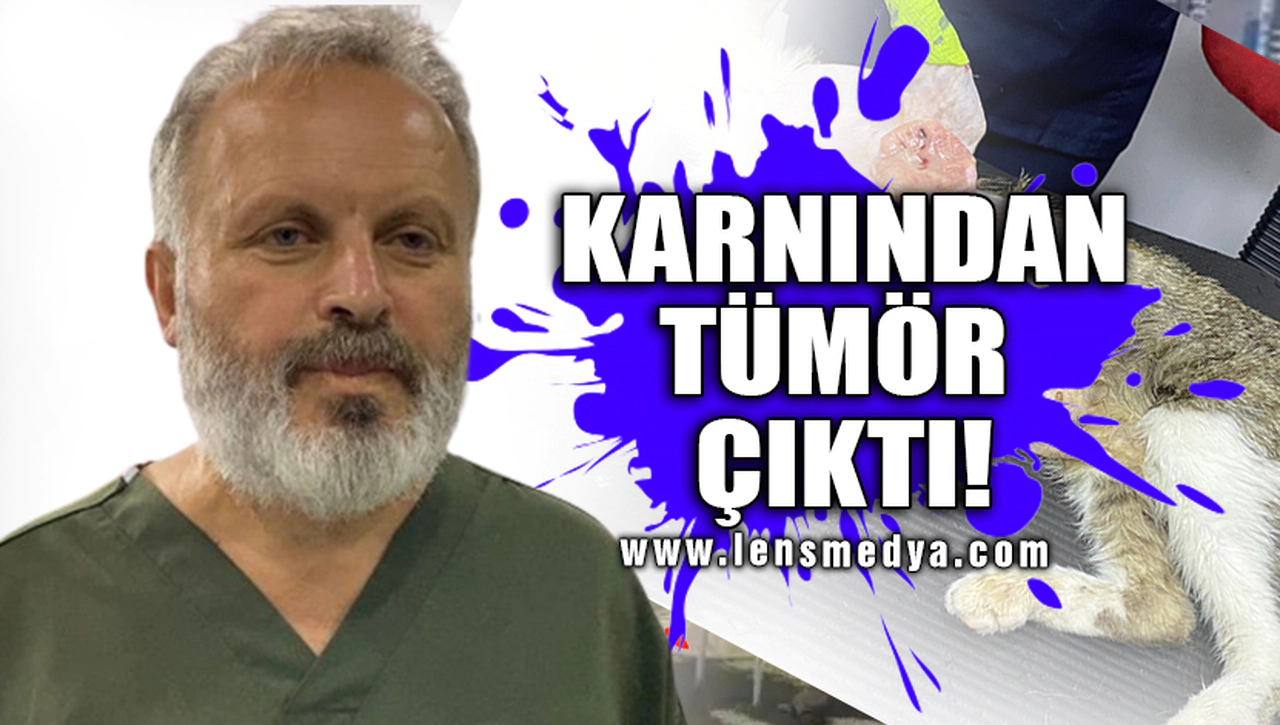 KARIN ŞİŞLİĞİ İLE GELDİ, KARNINDAN TÜMÖR ÇIKTI!