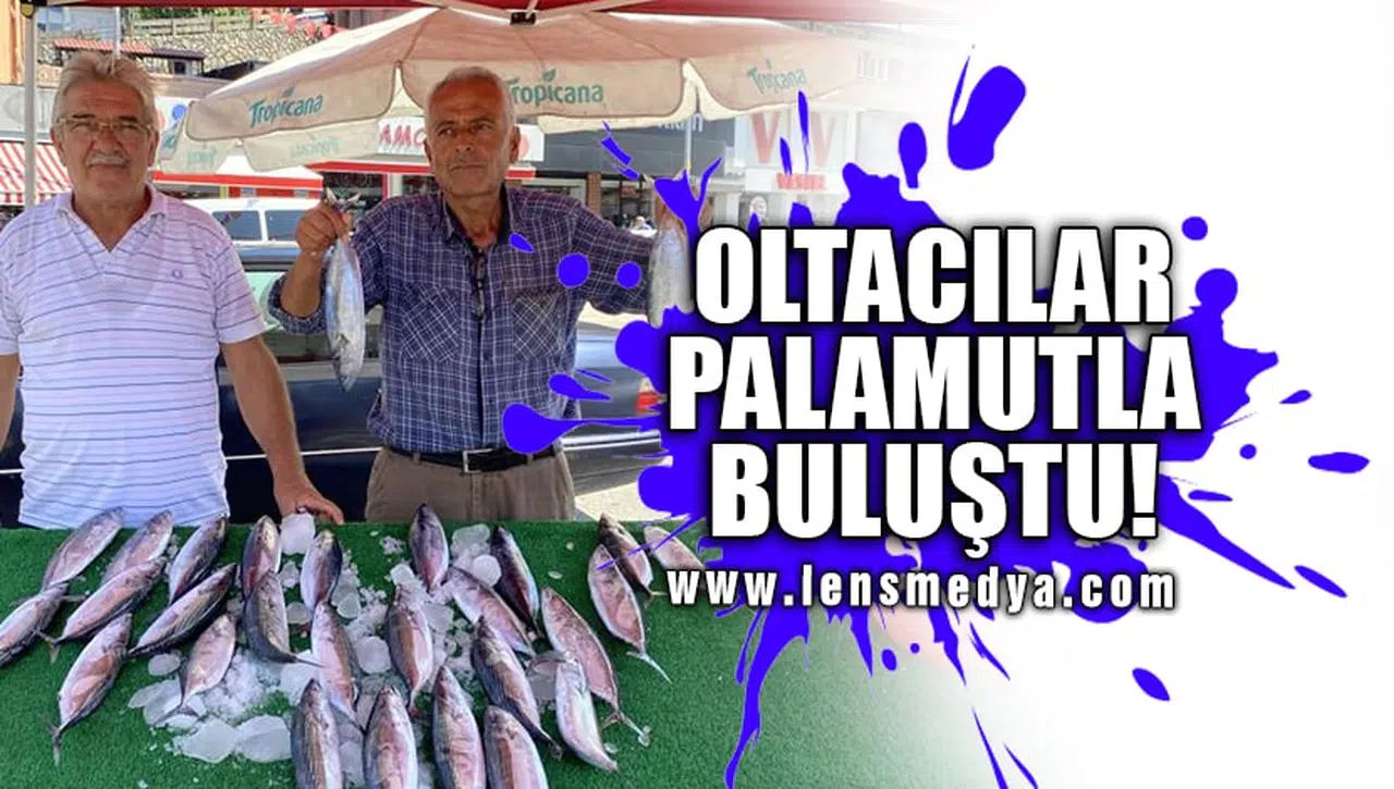 OLTACILAR PALAMUTLA BULUŞTU!