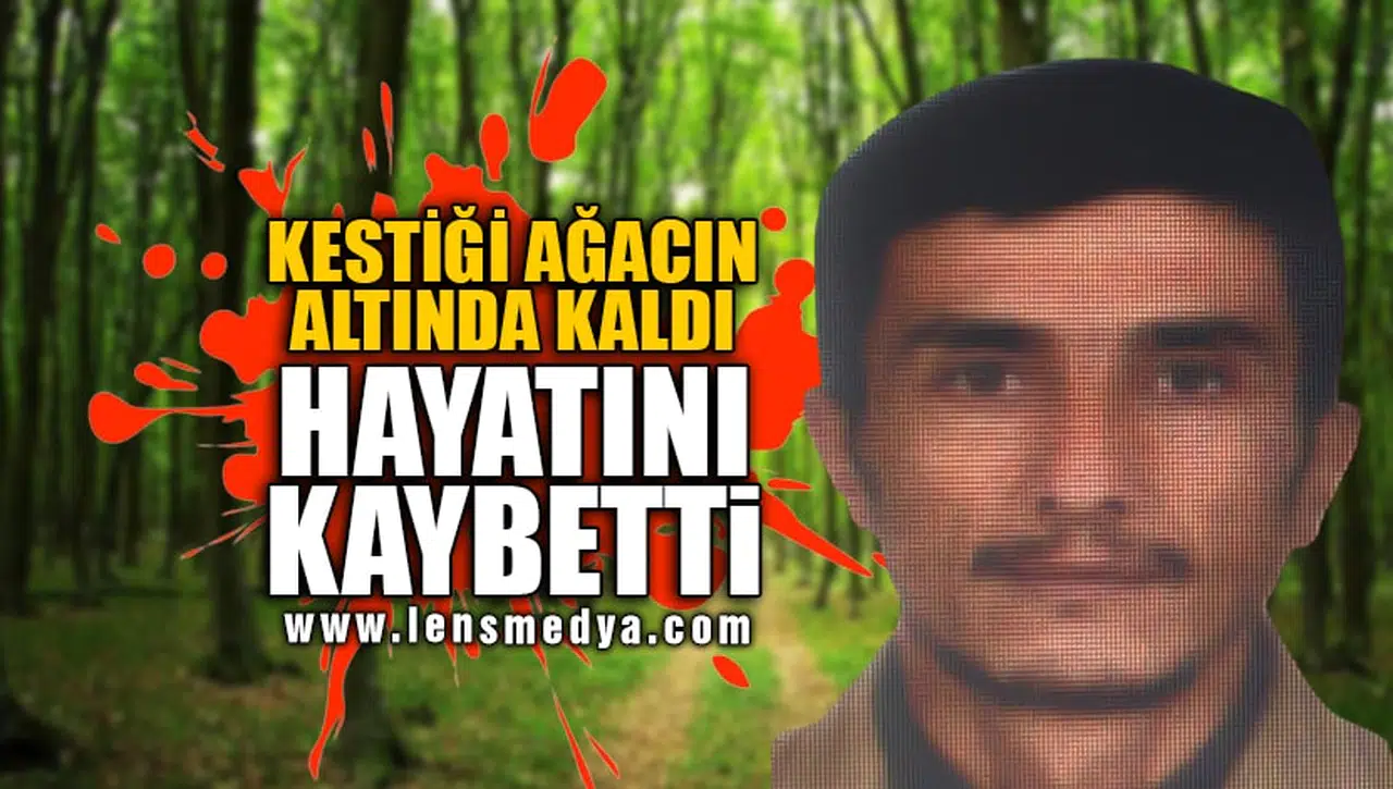 KESTİĞİ AĞACIN ALTINDA KALDI!