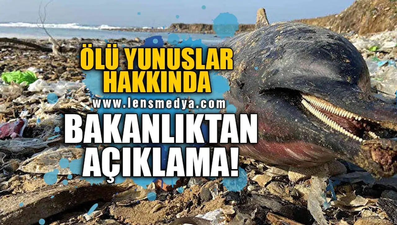 ÖLÜ YUNUSLAR HAKKINDA BAKANLIKTAN AÇIKLAMA!