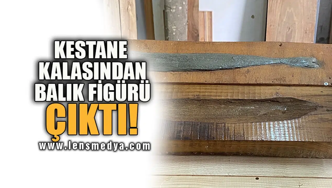 KESTANE KALASINDAN BALIK FİGÜRÜ ÇIKTI!