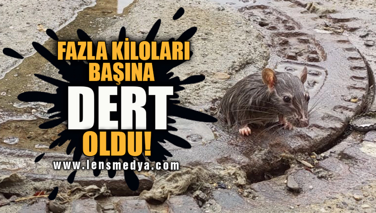 FARENİN FAZLA KİLOSU BAŞINA DERT OLDU!