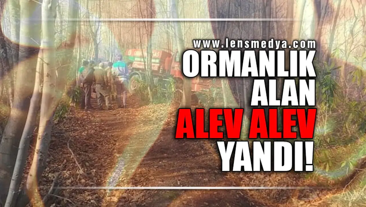ORMANLIK ALAN ALEV ALEV YANDI!