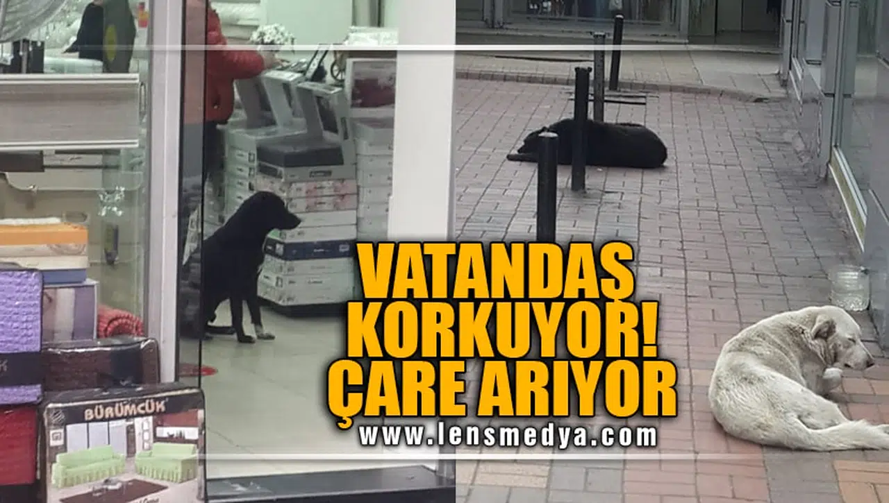 VATANDAŞ KORKUYOR... ÇARE ARIYOR!