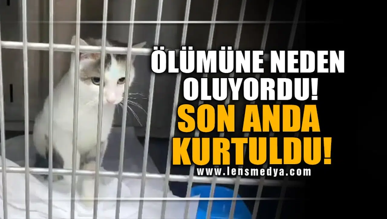 ÖLÜMÜNE NEDEN OLUYORDU...SON ANDA KURTULDU!