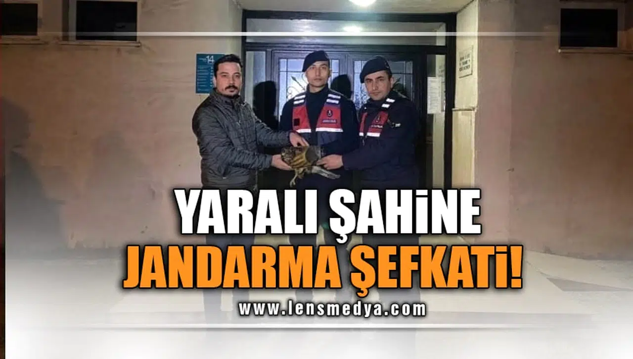YARALI ŞAHİNE JANDARMA ŞEFKATİ!