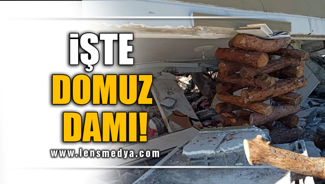İŞTE DOMUZ DAMI!