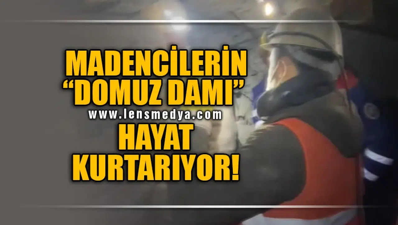 MADENCİLERİN "DOMUZ DAMI" HAYAT KURTARIYOR!
