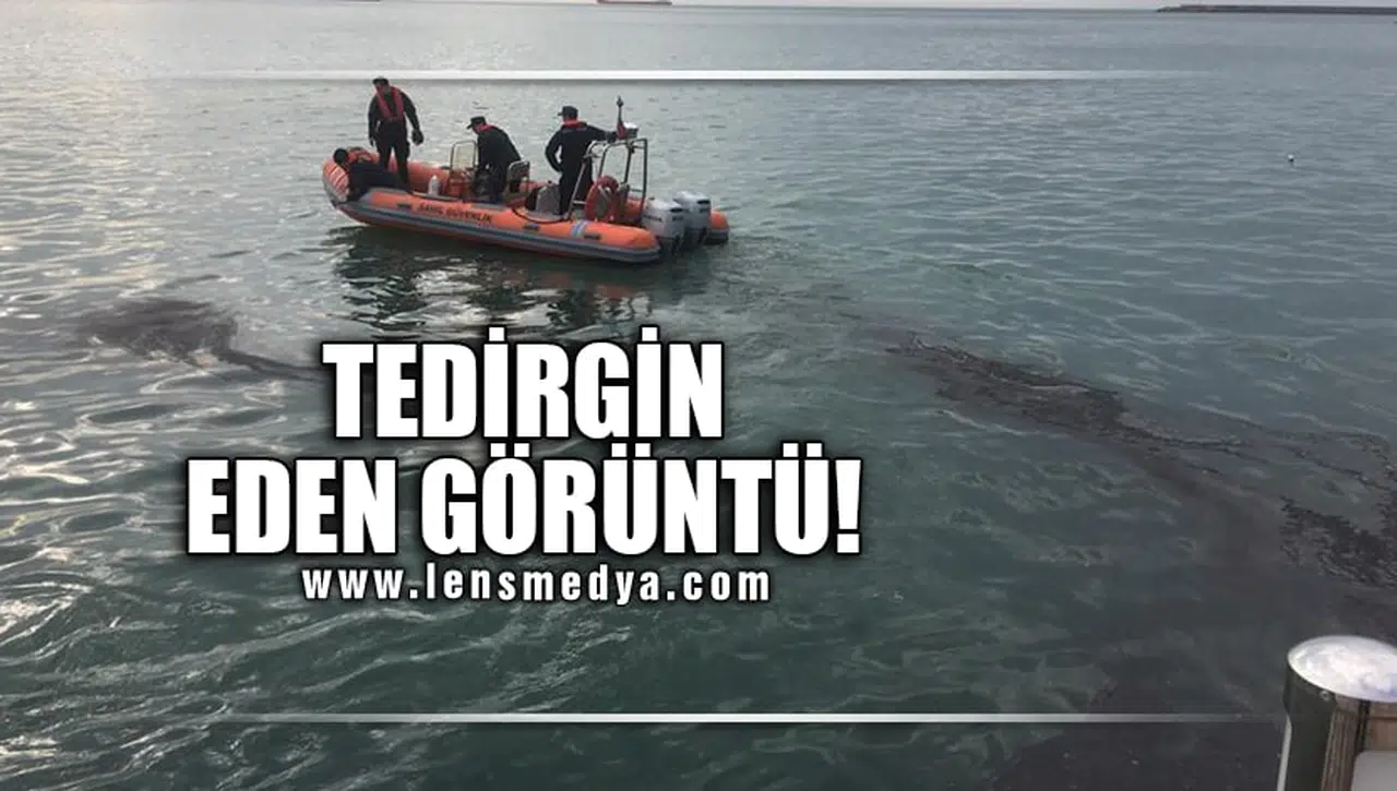 TEDİRGİN EDEN GÖRÜNTÜ!
