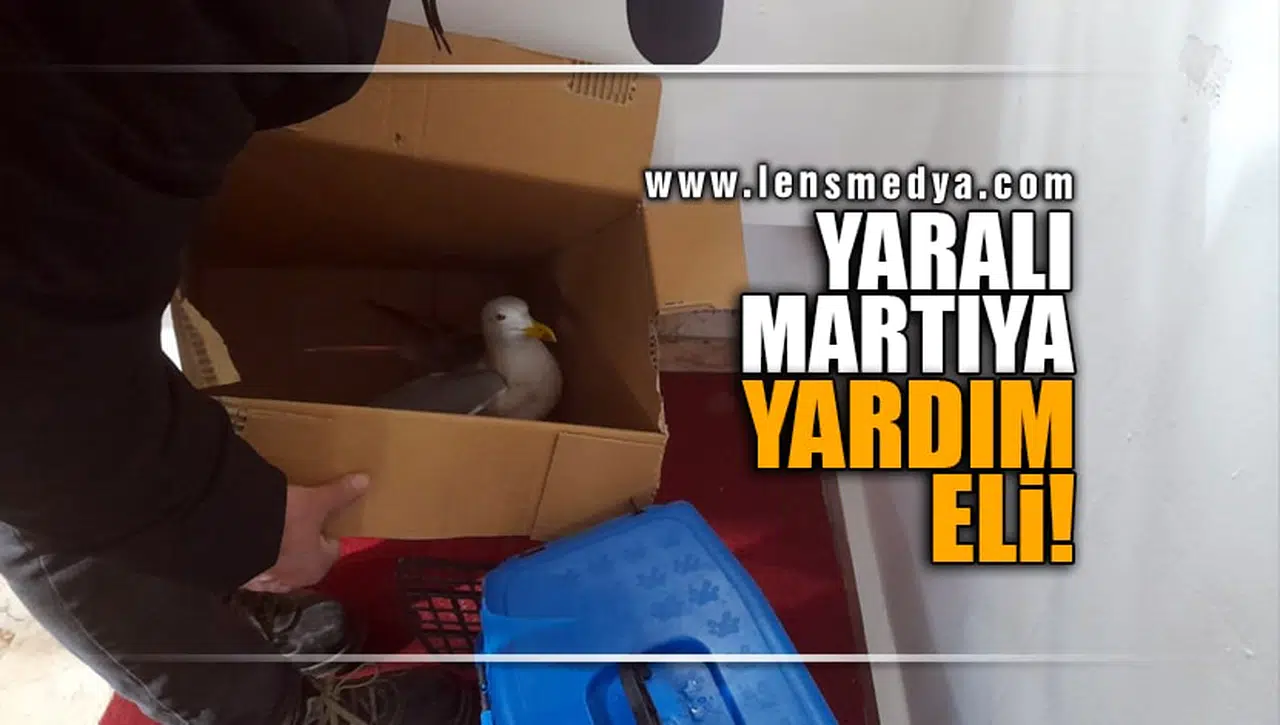 YARALI MARTIYA YARDIM ELİ!