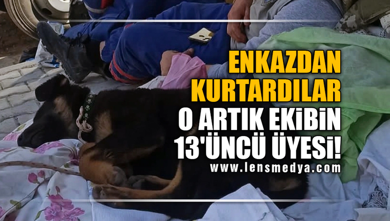 ENKAZDAN KURTARDILAR, O ARTIK EKİBİN 13'ÜNCÜ ÜYESİ!