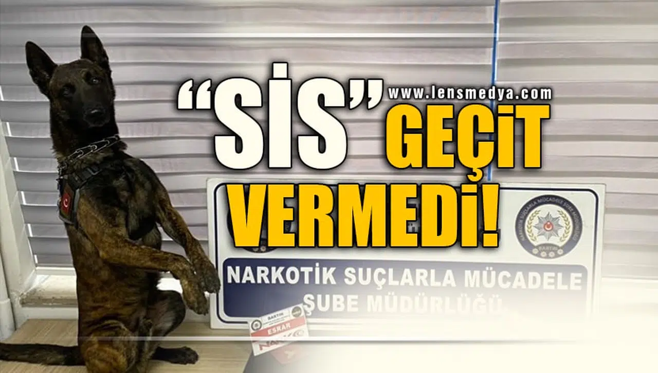 "SİS" GEÇİT VERMEDİ!