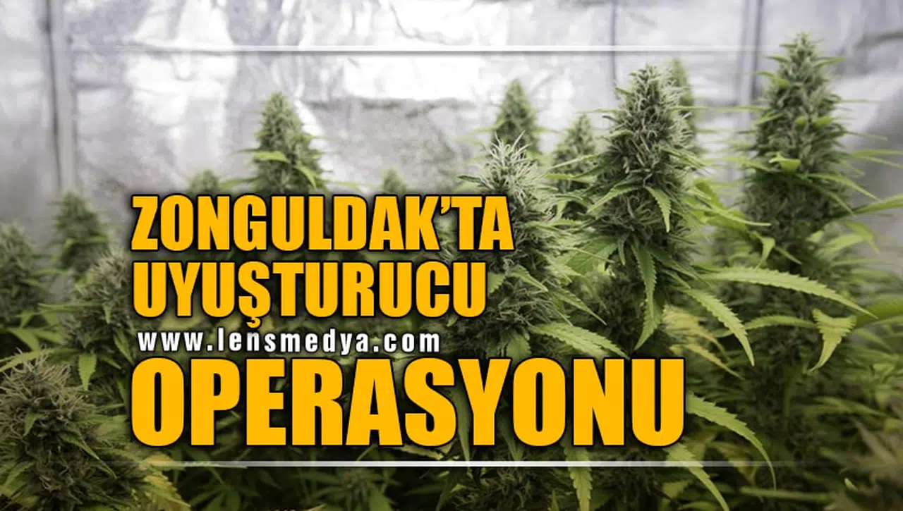 ZONGULDAK'TA UYUŞTURUCU OPERASYONU!