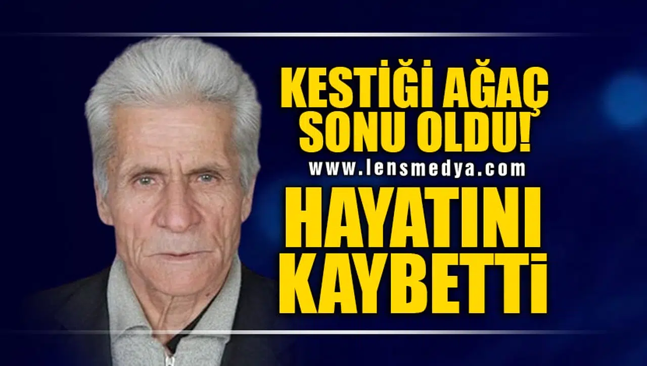KESTİĞİ AĞAÇ SONU OLDU!