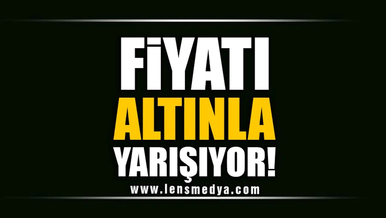 FİYATI ALTINLA YARIŞIYOR!