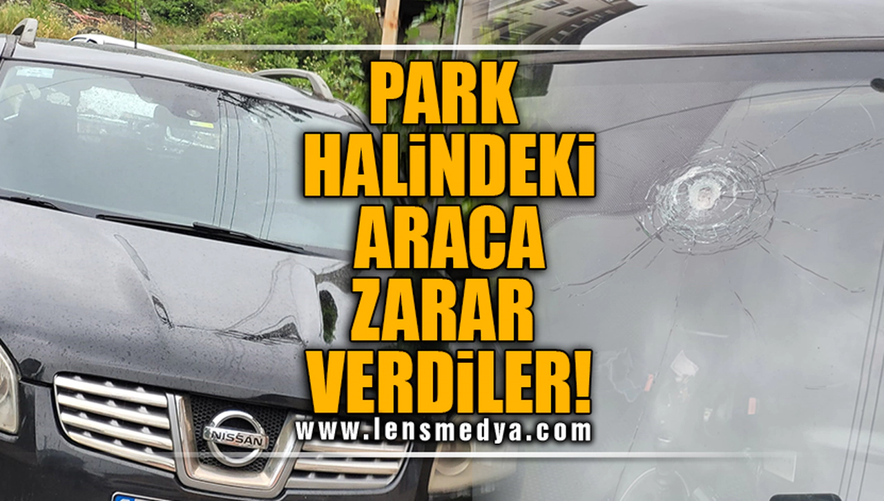 PARK HALİNDEKİ ARACA ZARAR VERDİLER!