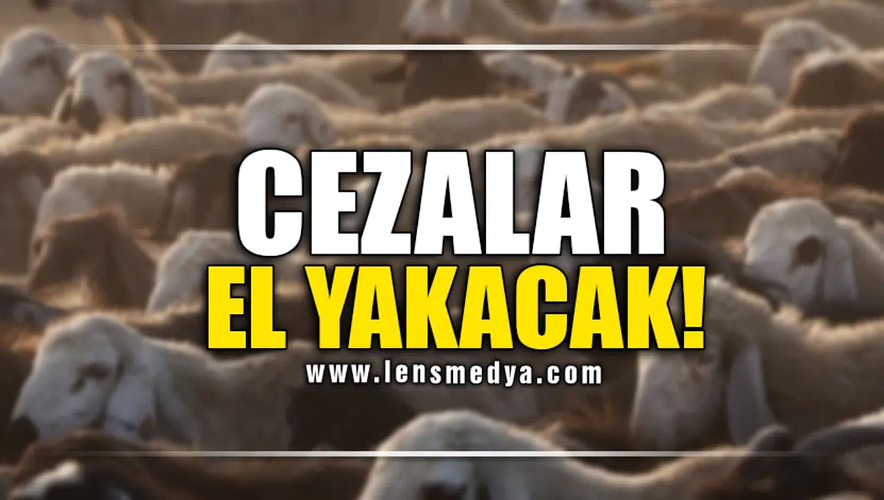 CEZALAR EL YAKACAK