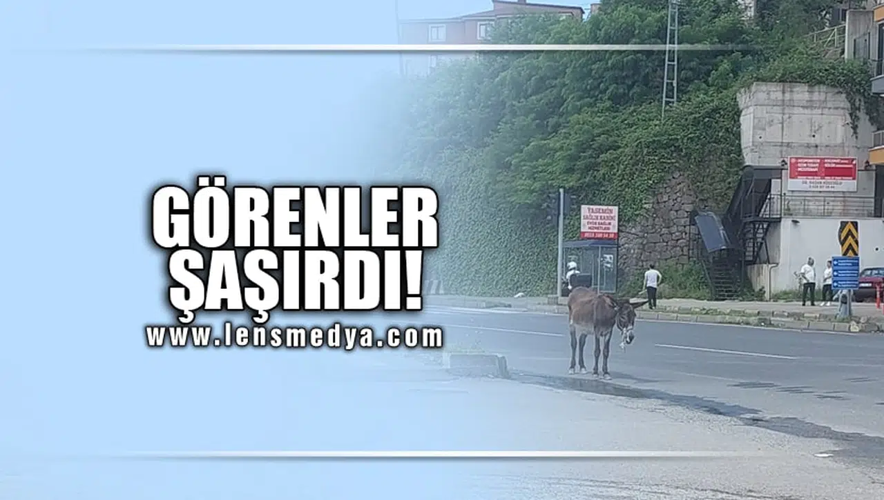 GÖRENLER ŞAŞIRDI