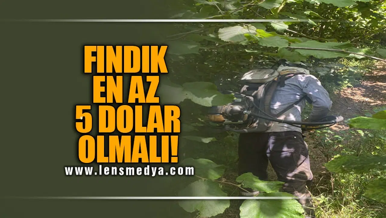 FINDIK EN AZ BEŞ DOLAR OLMALI!