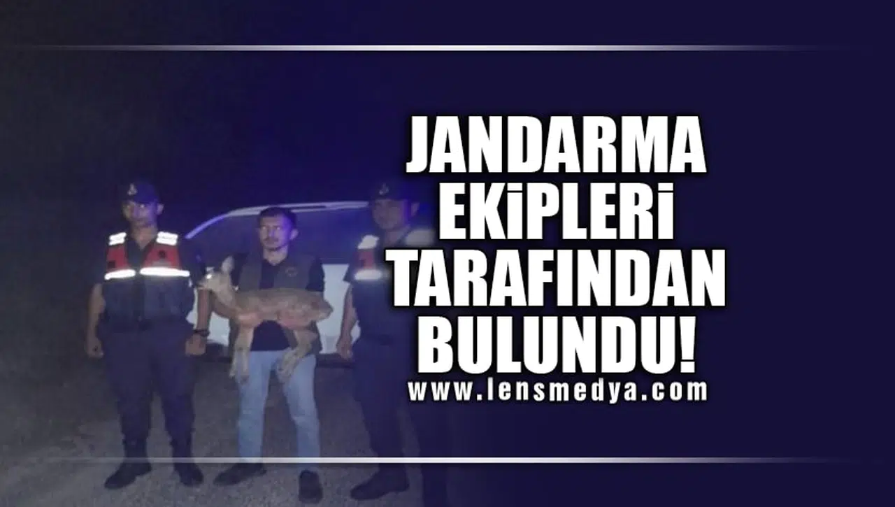JANDARMA EKİPLERİ TARAFINDAN BULUNDU