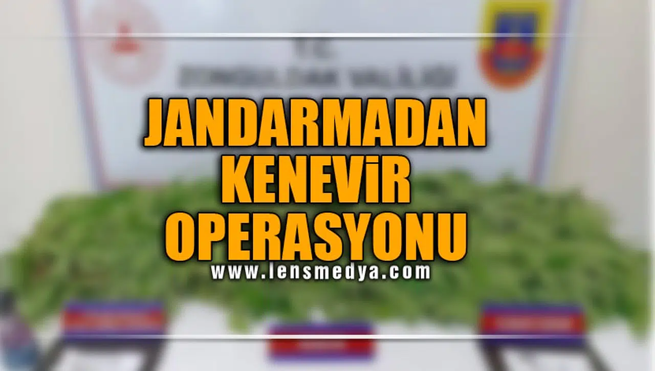 JANDARMADAN KENEVİR OPERASYONU