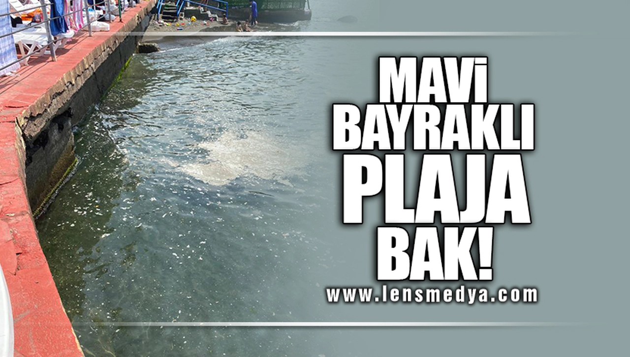 MAVİ BAYRAKLI PLAJA BAK!