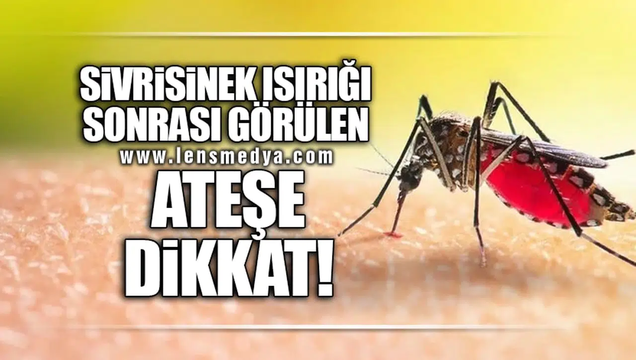 SİVRİSİNEK ISIRIĞI SONRASI GÖRÜLEN ATEŞE DİKKAT!