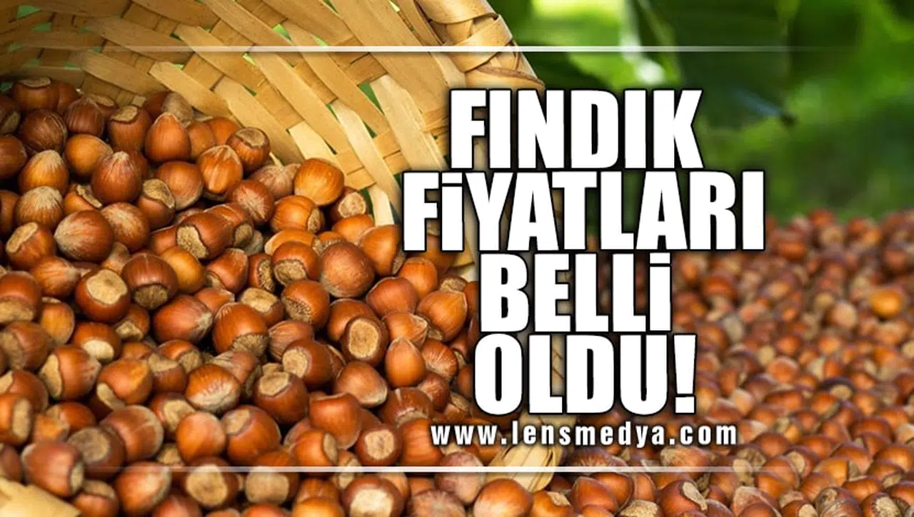 FINDIK FİYATLARI BELLİ OLDU!