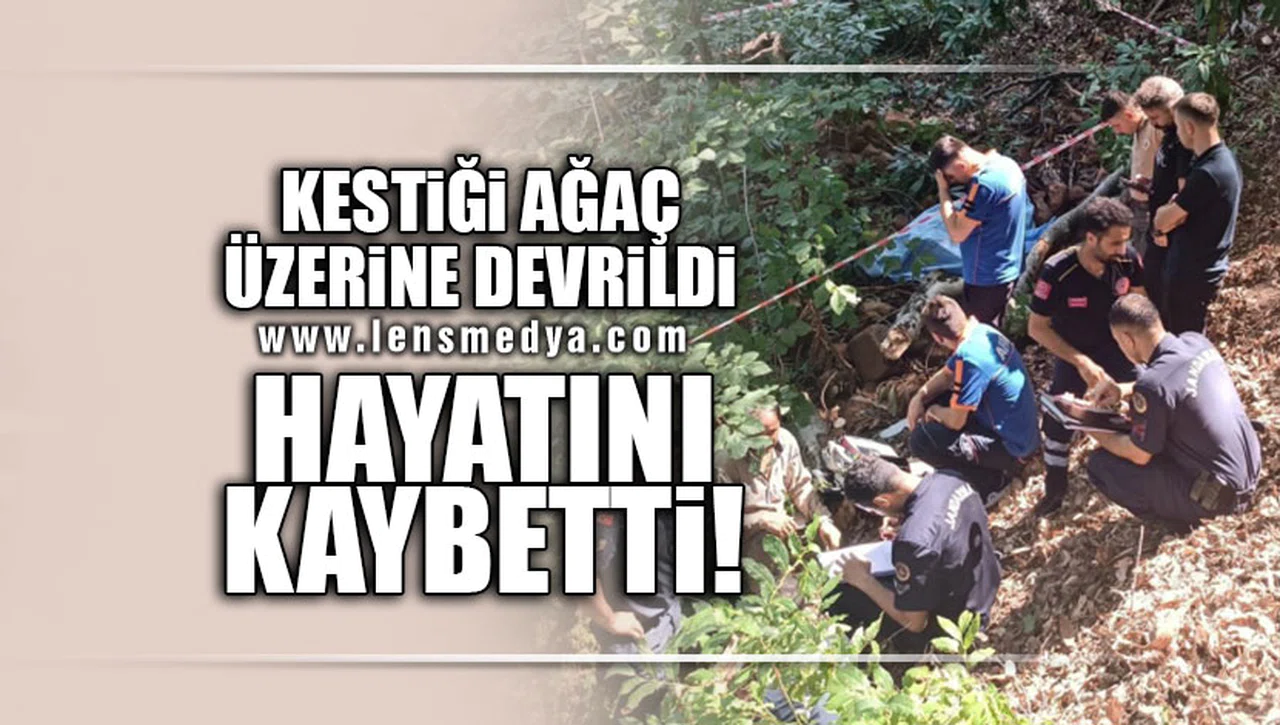 KESTİĞİ AĞAÇ ÜZERİNE DEVRİLDİ... HAYATINI KAYBETTİ!