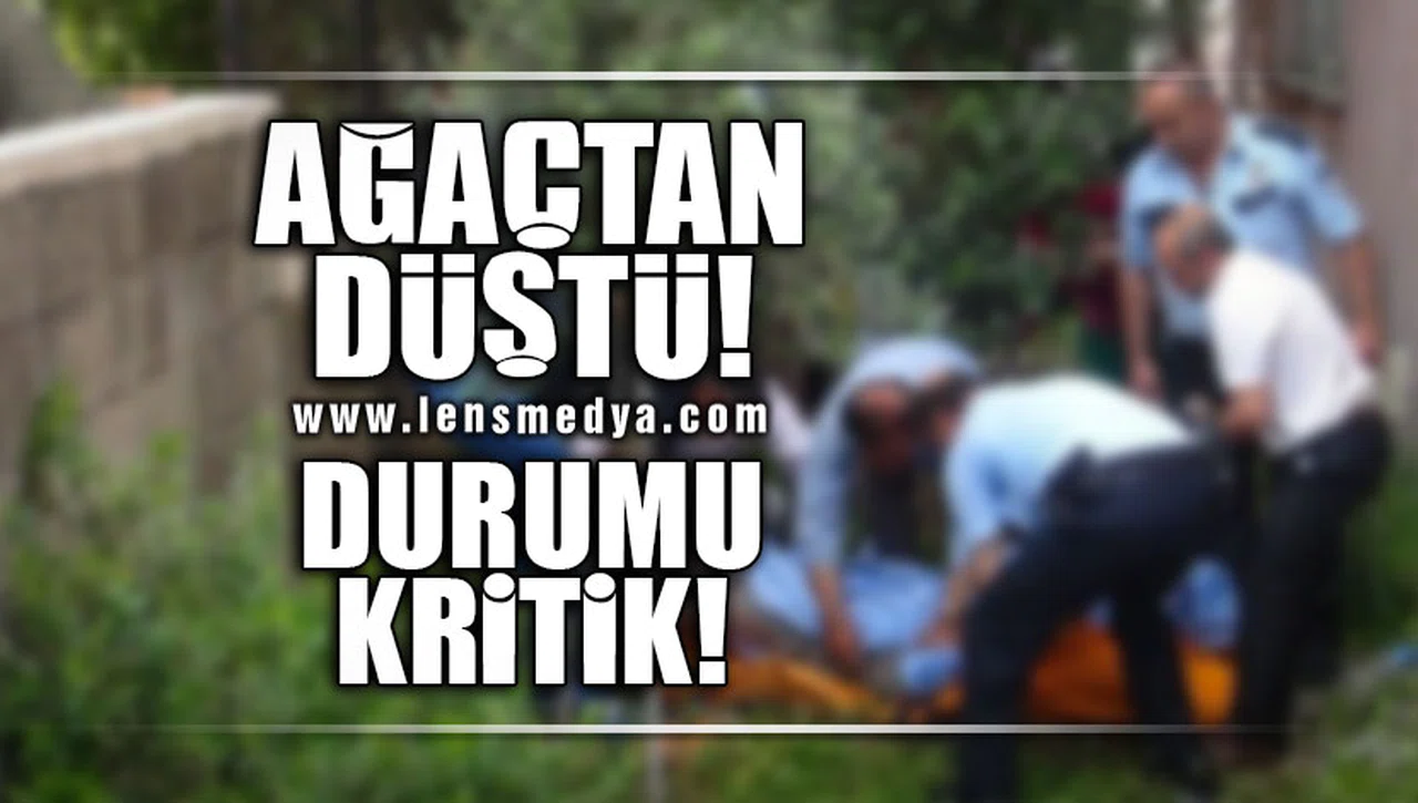 AĞAŞTAN DÜŞTÜ, AĞIR YARALANDI!