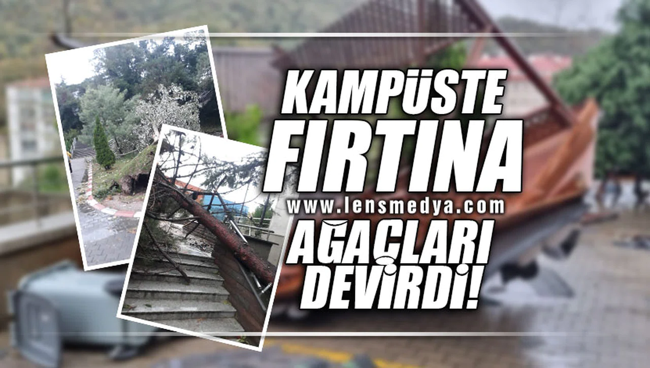 KAMPÜSTE FIRTINA AĞAÇLARI DEVİRDİ!