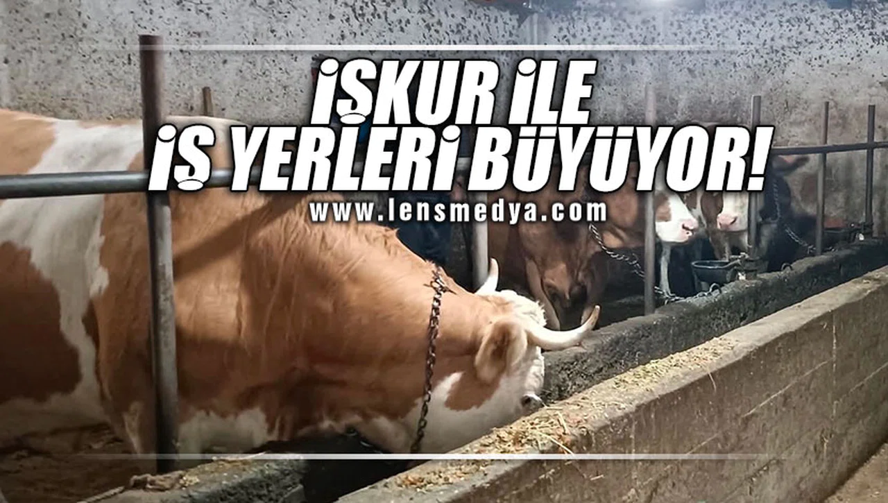 İŞKUR İLE İŞ YERLERİ BÜYÜYOR!