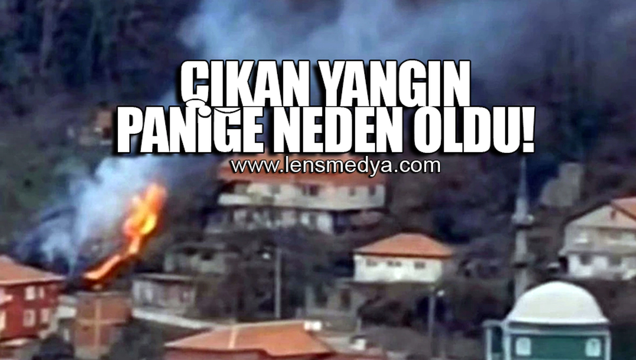 ÇIKAN YANGIN PANİĞE NEDEN OLDU!