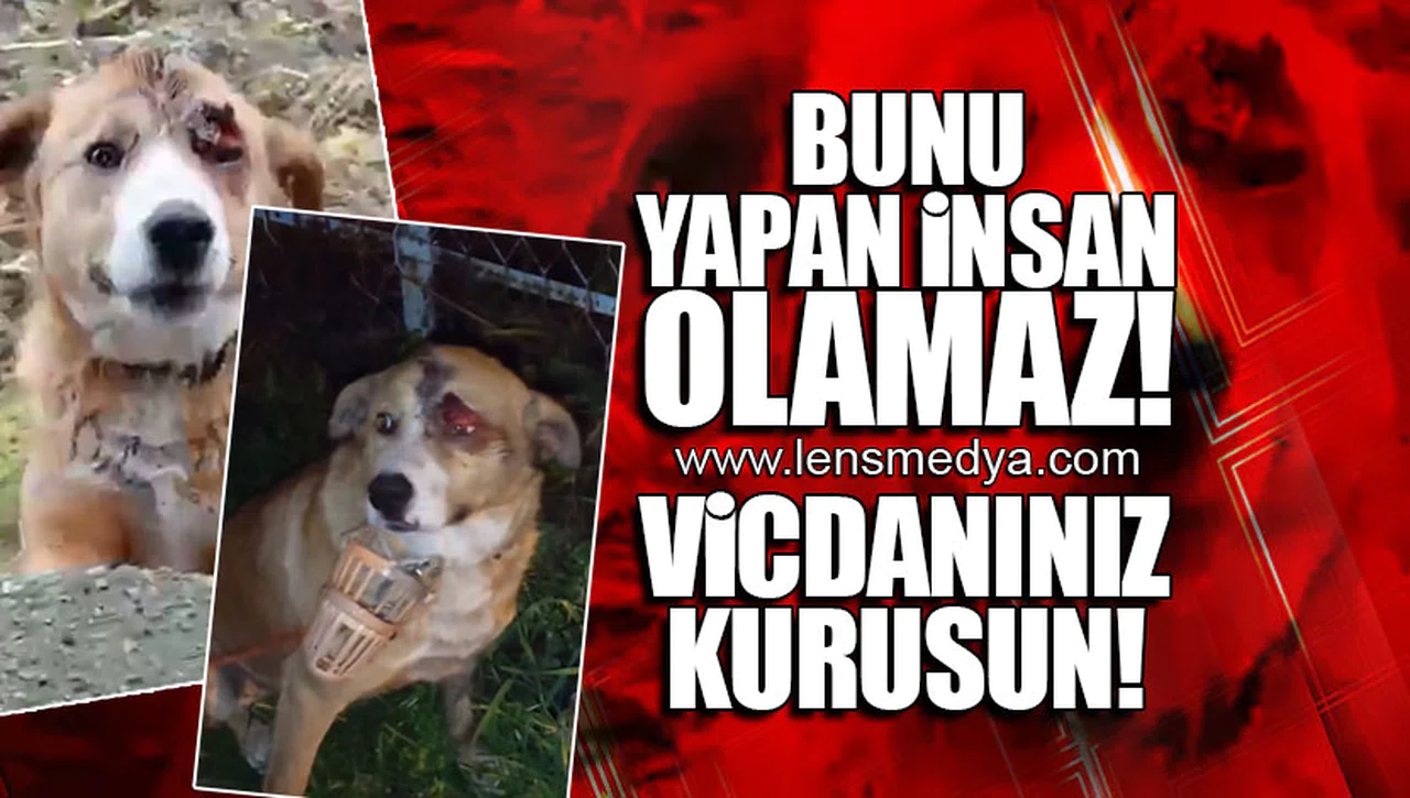 VİCDANINIZ KURUSUN!