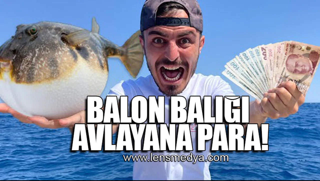 BALON BALIĞI AVLAYANA PARA!